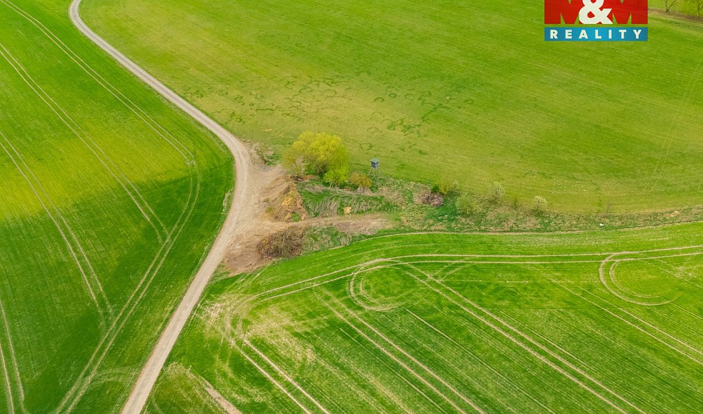 Prodej louky 730 m², Olešnice – náhled fotky 8