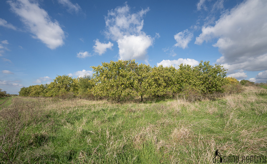 Prodej pozemku 14 896 m² – fotografie 4