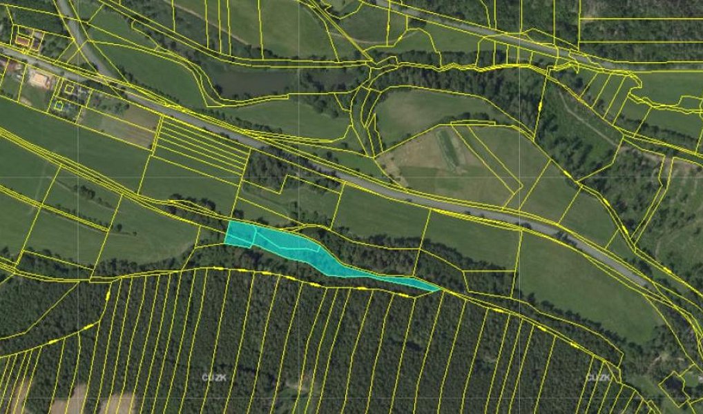 Prodej lesa 5 469 m², Velké Opatovice – náhled fotky 7