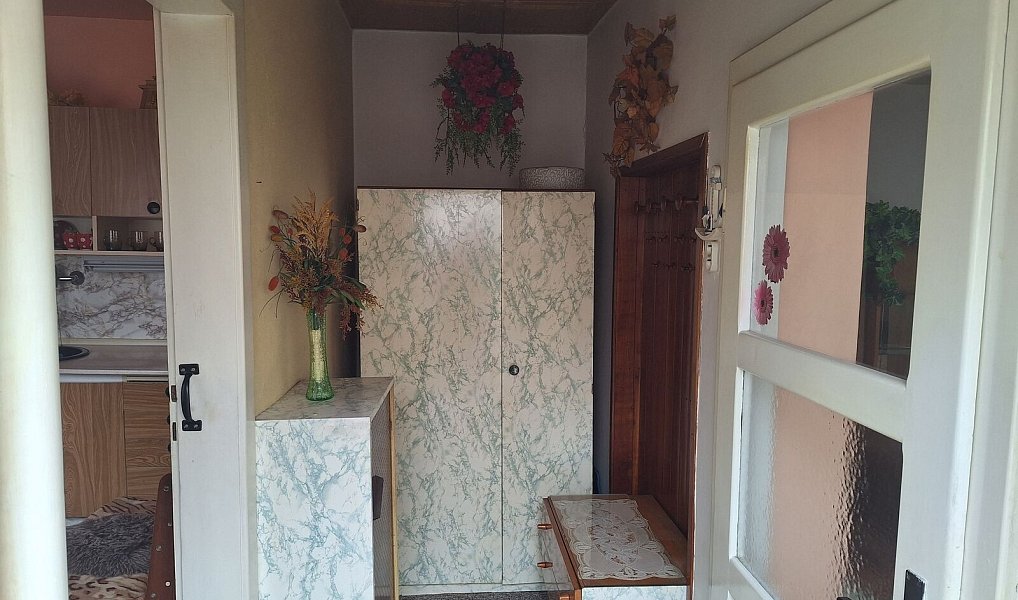 Prodej domu 67 m² s pozemkem 218 m², Letonice – náhled fotky 12