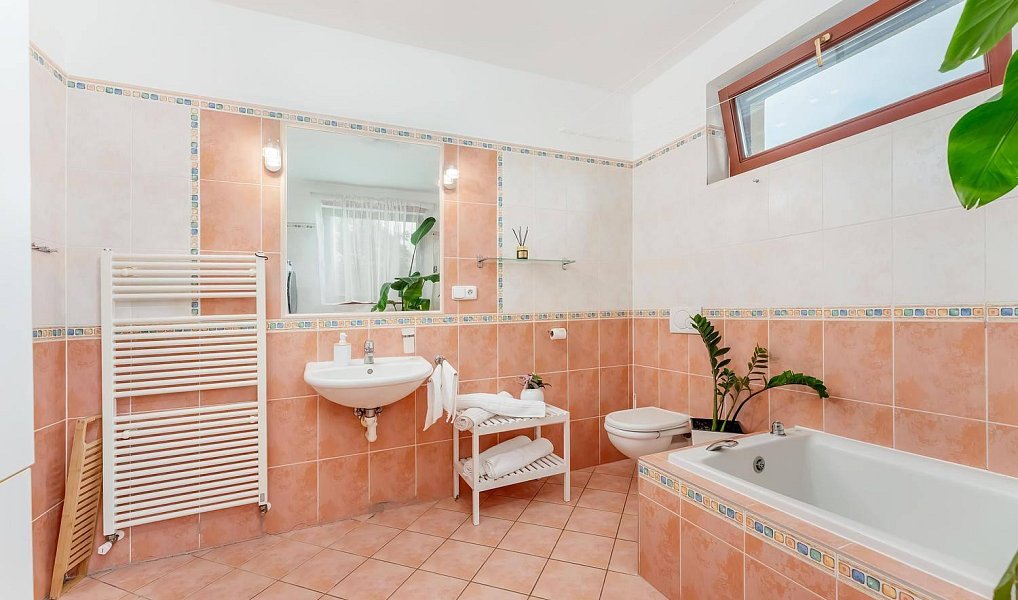 Prodej domu 169 m² s pozemkem 711 m², Kanice – náhled fotky 16
