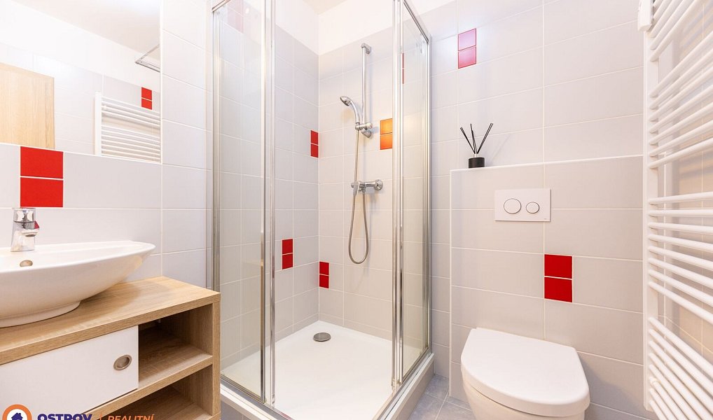 Pronájem bytu 1+kk 21 m², Loučná nad Desnou – náhled fotky 10