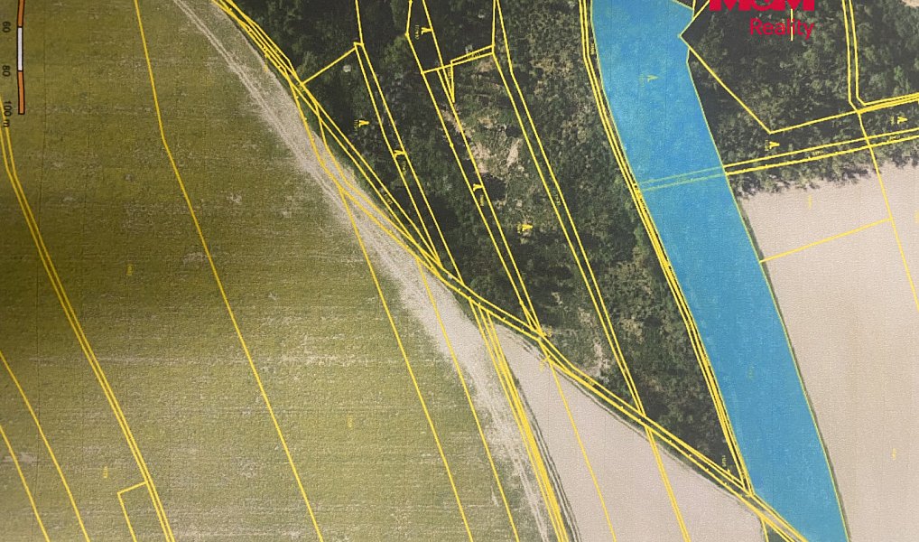 Prodej lesa 11 971 m², Bohuslavice – náhled fotky 5
