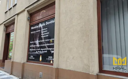 Pronájem obchodních prostor 15 m², Viklefova, Praha 3 - Žižkov