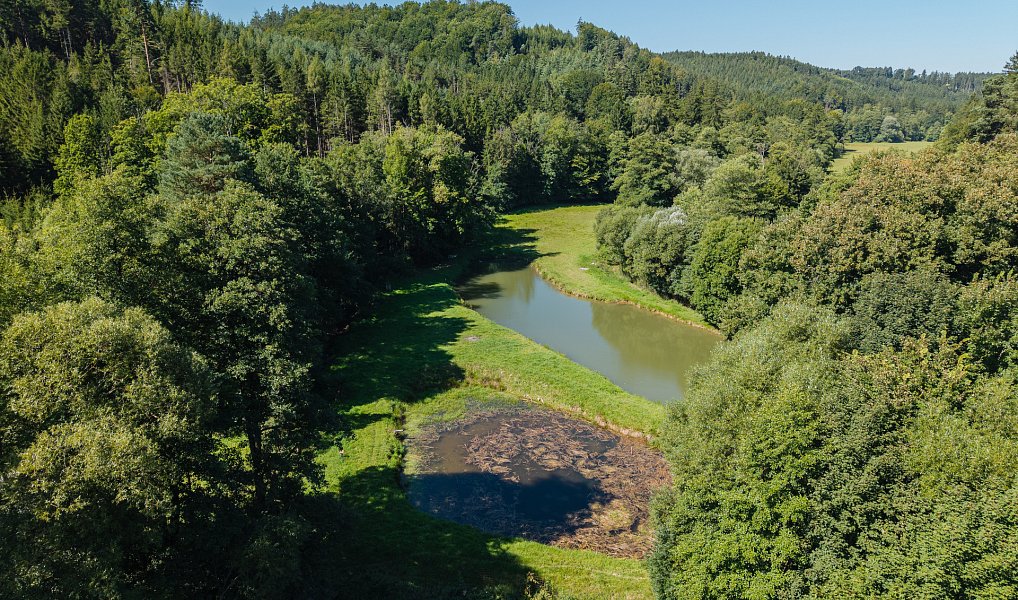Prodej vodní plochy 8 295 m², Nové Hrady – náhled fotky 10