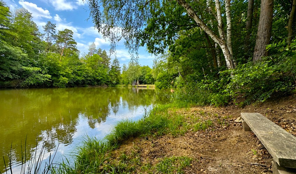 Prodej vodní plochy 25 771 m², Dačice – náhled fotky 4