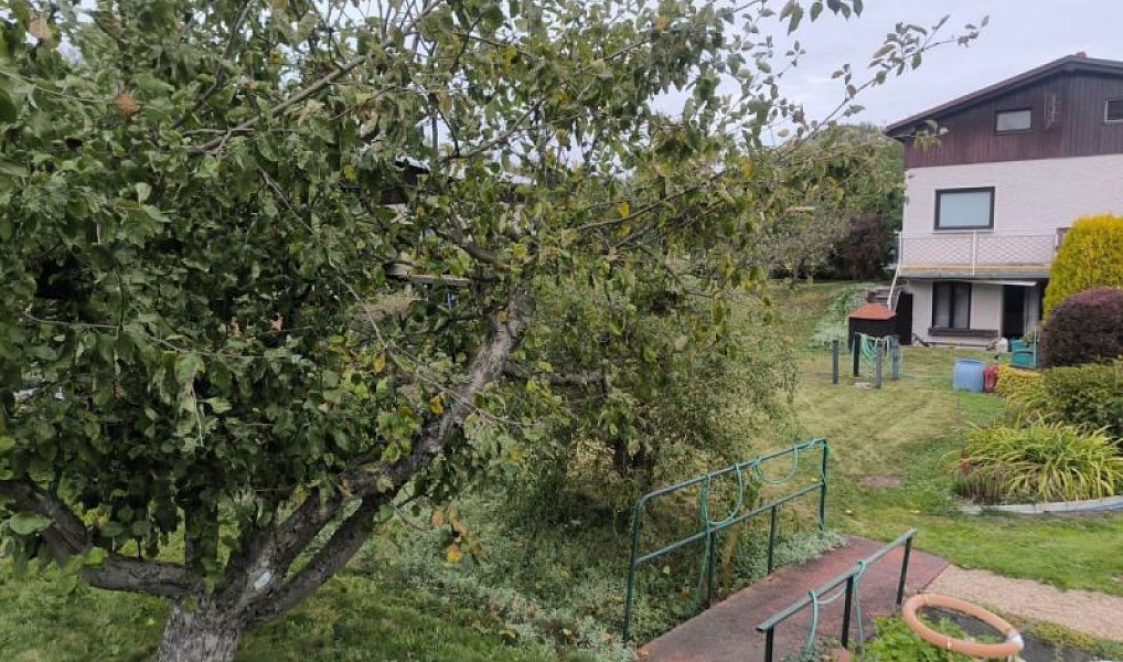 Prodej chaty/chalupy 40 m² s pozemkem 115 m², Týniště nad Orlicí – náhled fotky 6