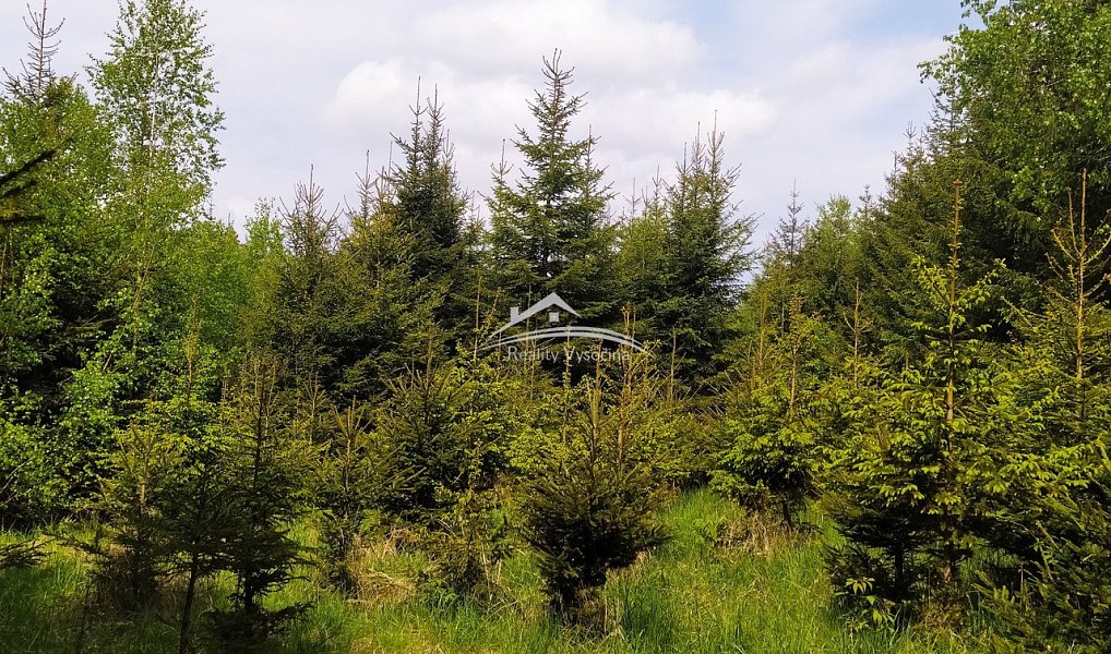 Prodej lesa 8 890 m², Žirovnice – náhled fotky 3