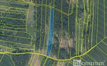Prodej lesa 28 936 m², Radkov, okres Jihlava