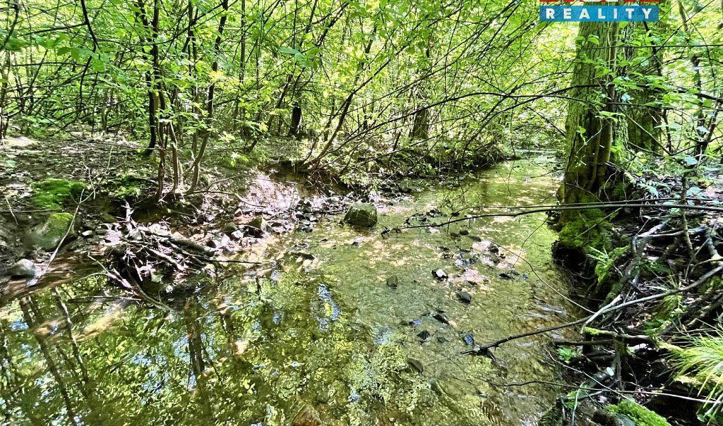 Prodej vodní plochy 3 255 m², Skalice u České Lípy – náhled fotky 16