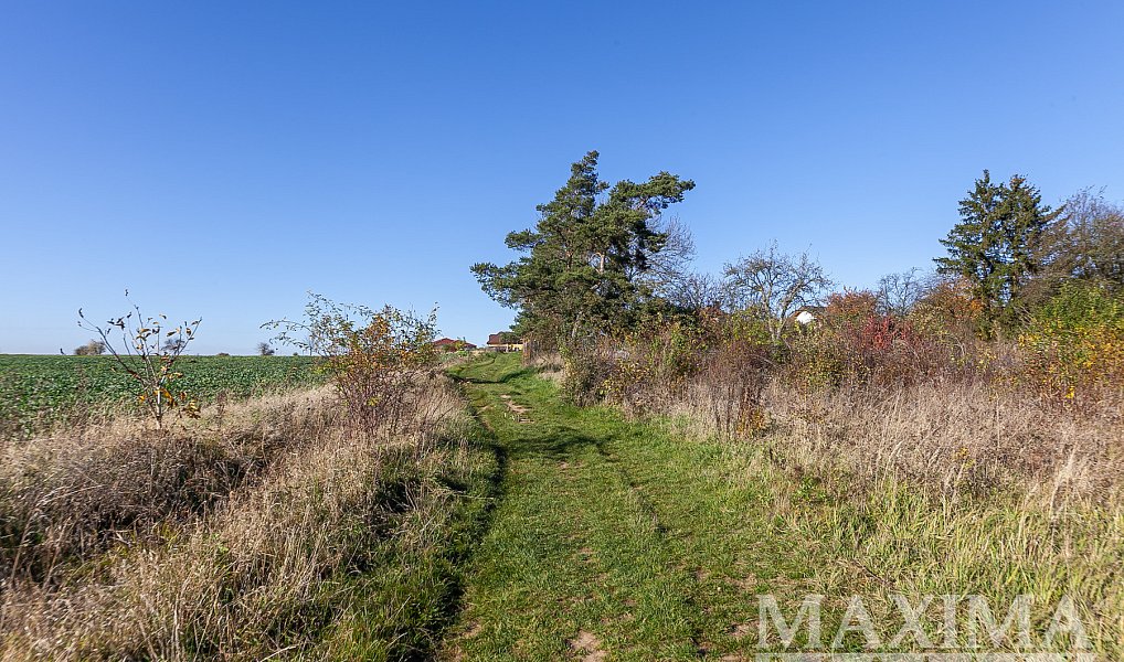 Prodej pozemku 935 m², Dobříč – náhled fotky 8