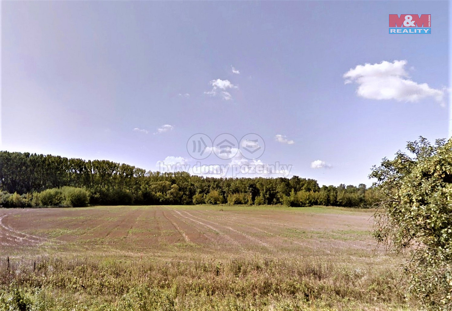 Prodej louky 4 960 m² — photo 3