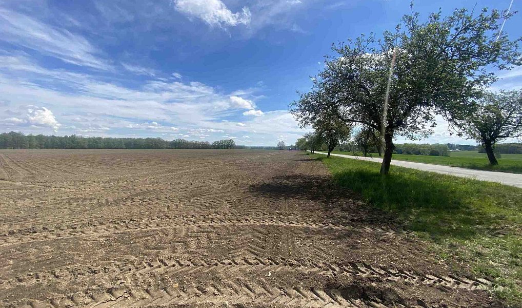 Prodej pole 5 875 m², Malovice – náhled fotky 8