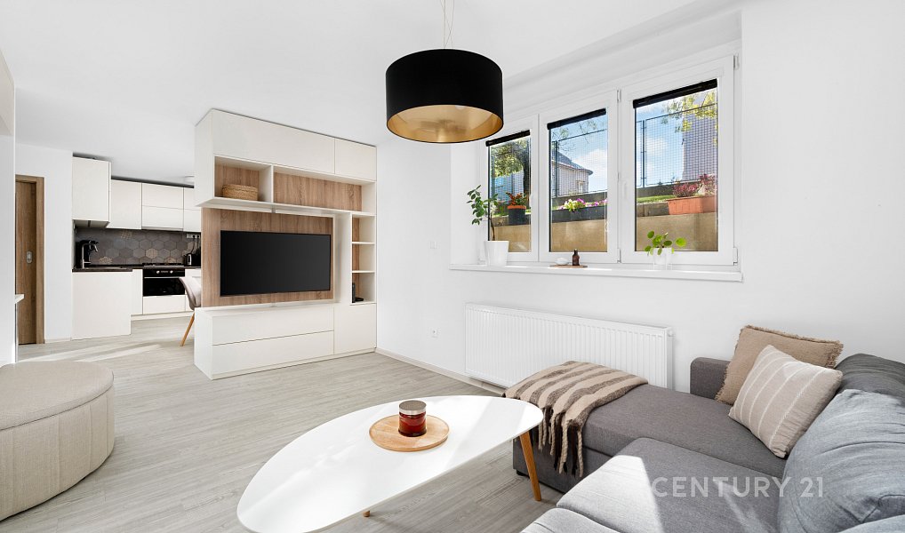 Prodej bytu 1+kk 46 m², Brno – náhled fotky 5