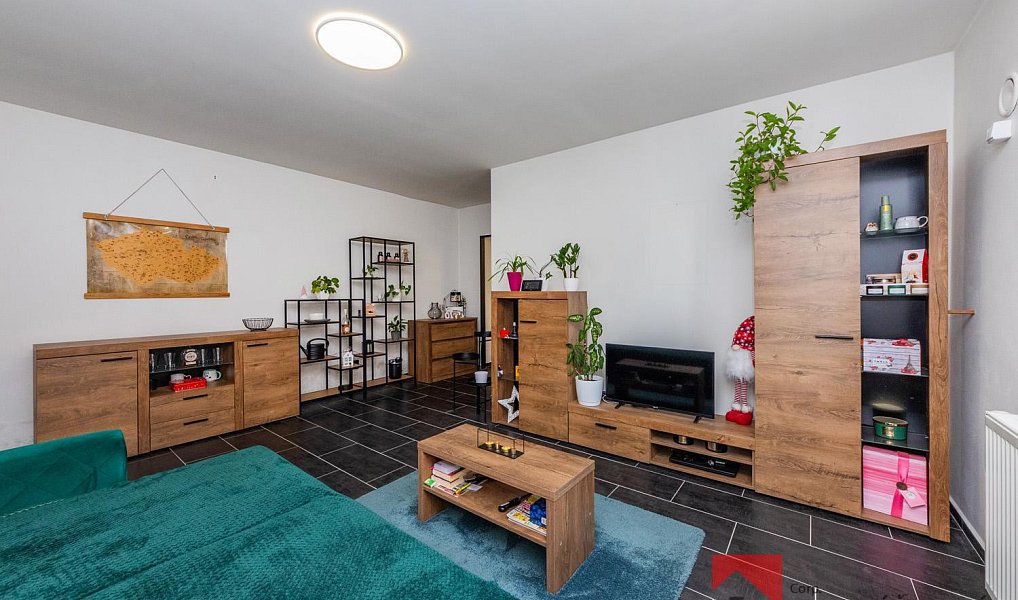 Prodej domu 322 m² s pozemkem 498 m², Nová Ves – náhled fotky 12