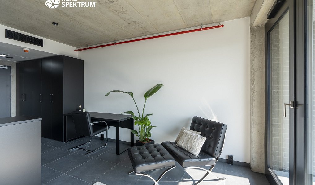 Pronájem bytu 1+kk 31 m², Brno – náhled fotky 4