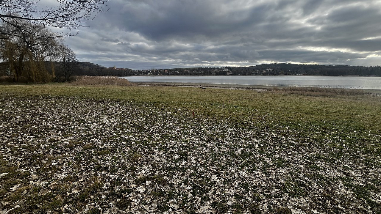 Prodej komerčního pozemku 478 m² – fotografie 3