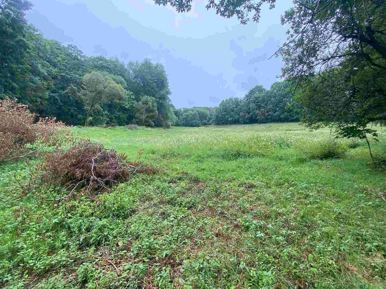 Prodej pole 11 289 m² – fotografie 3