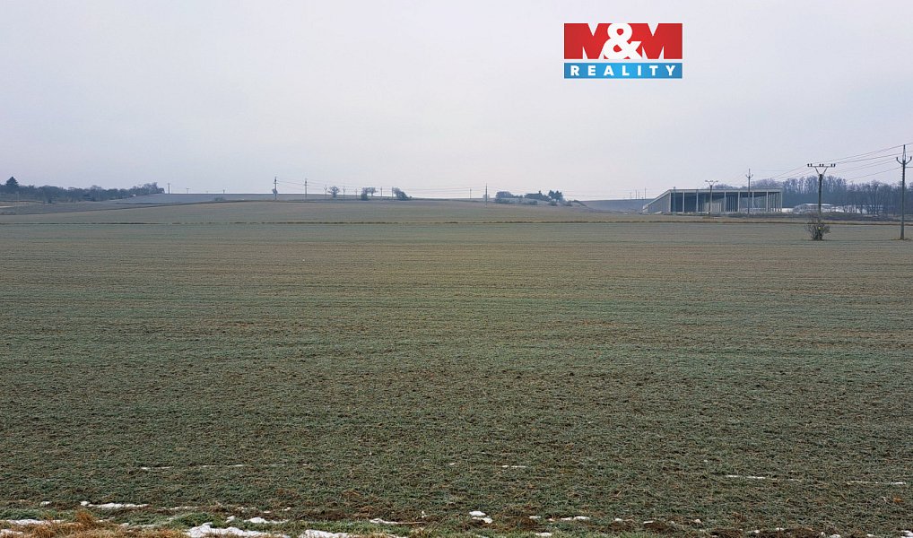 Prodej stavebního pozemku 3 683 m², Hrušovany nad Jevišovkou – náhled fotky 4