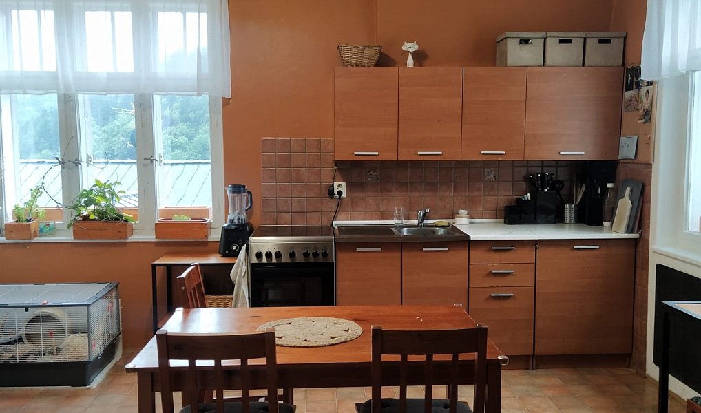 Prodej domu 250 m² s pozemkem 1 221 m², Janov nad Nisou – náhled fotky 6