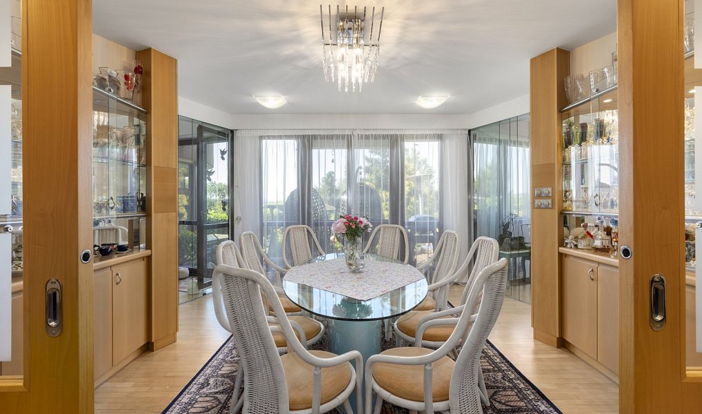 Prodej domu 718 m² s pozemkem 1 306 m², Ráby – náhled fotky 8