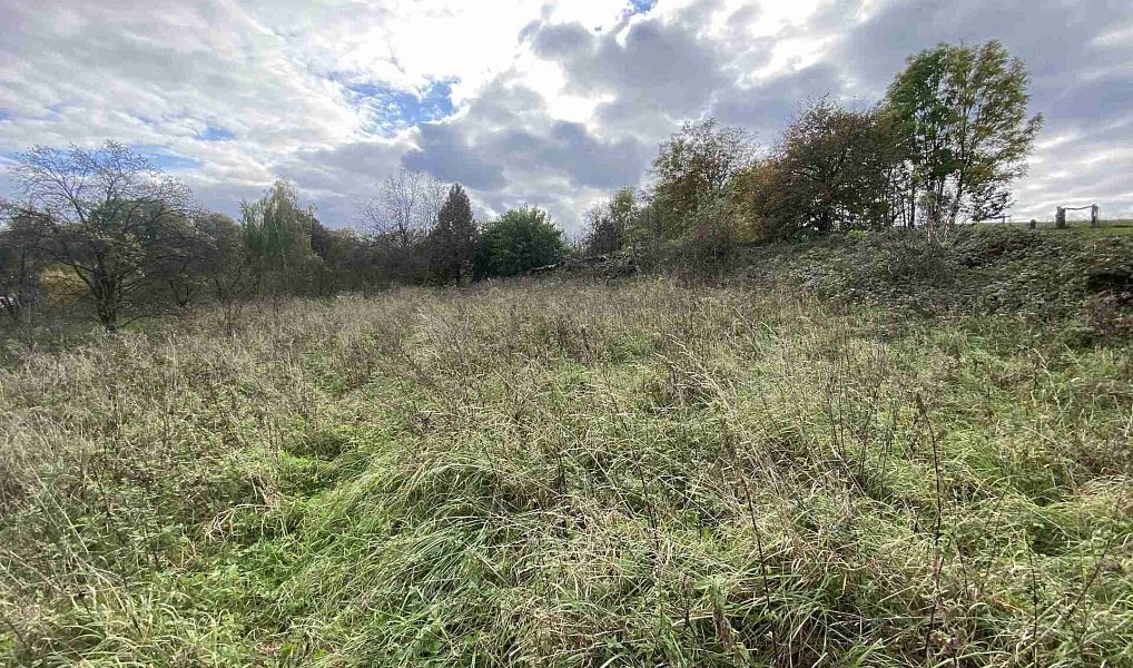 Prodej stavebního pozemku 1 651 m², Javorník – náhled fotky 6