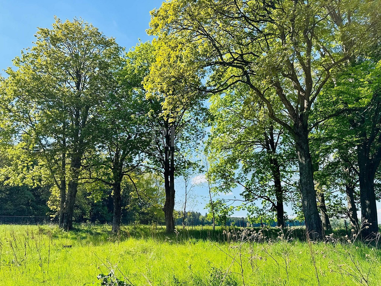 Fotka 8 z 16