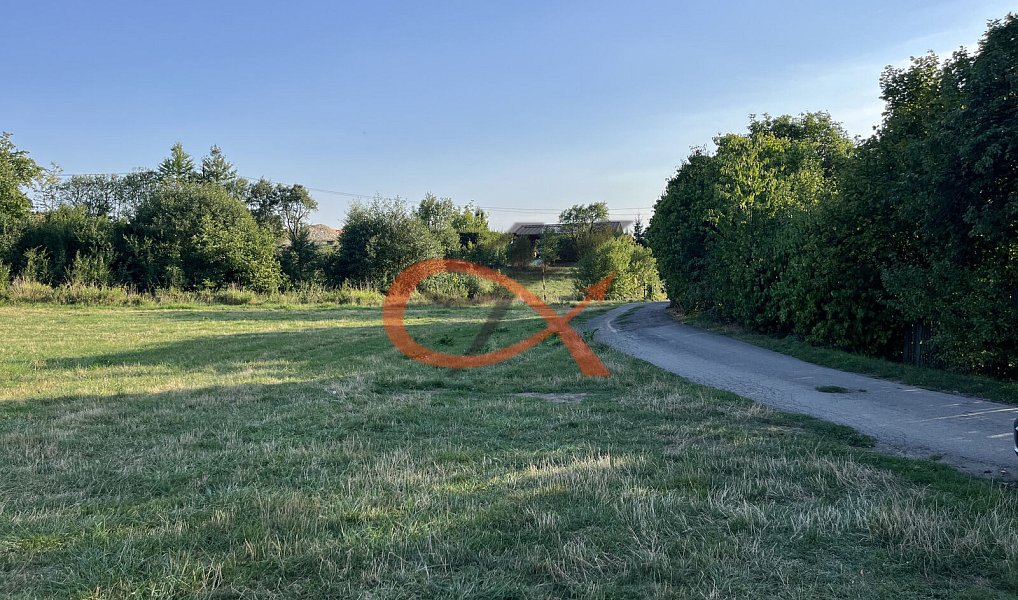 Prodej louky 2 325 m², Lešná – náhled fotky 3
