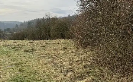 Prodej pozemku 3 678 m², Sloup - Dýšina