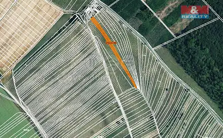 Prodej pole 2 497 m², Dolní Bojanovice, okres Hodonín