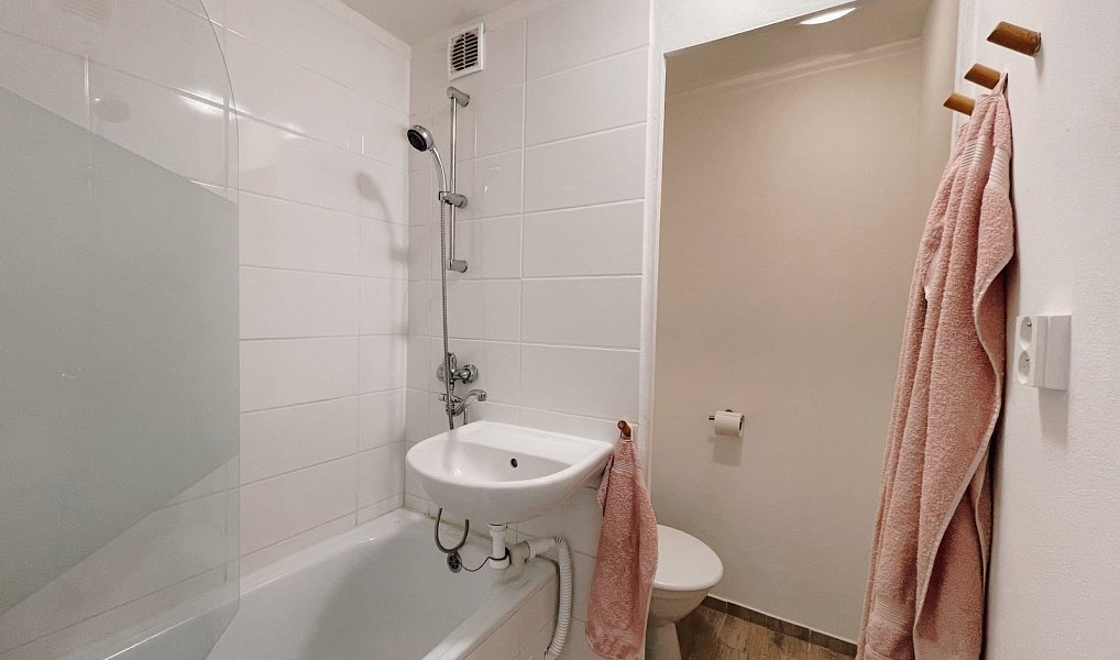 Pronájem bytu 1+1 40 m², Písek – náhled fotky 15