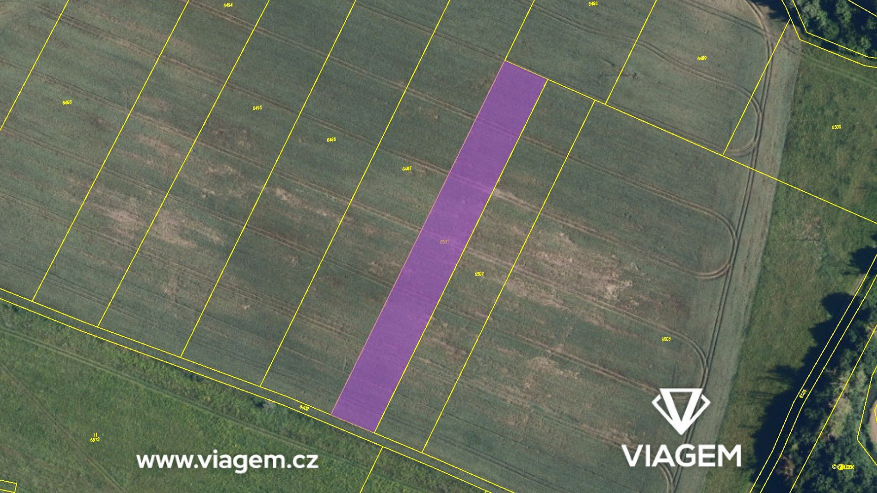 Prodej pole 3 470 m² – fotografie 4