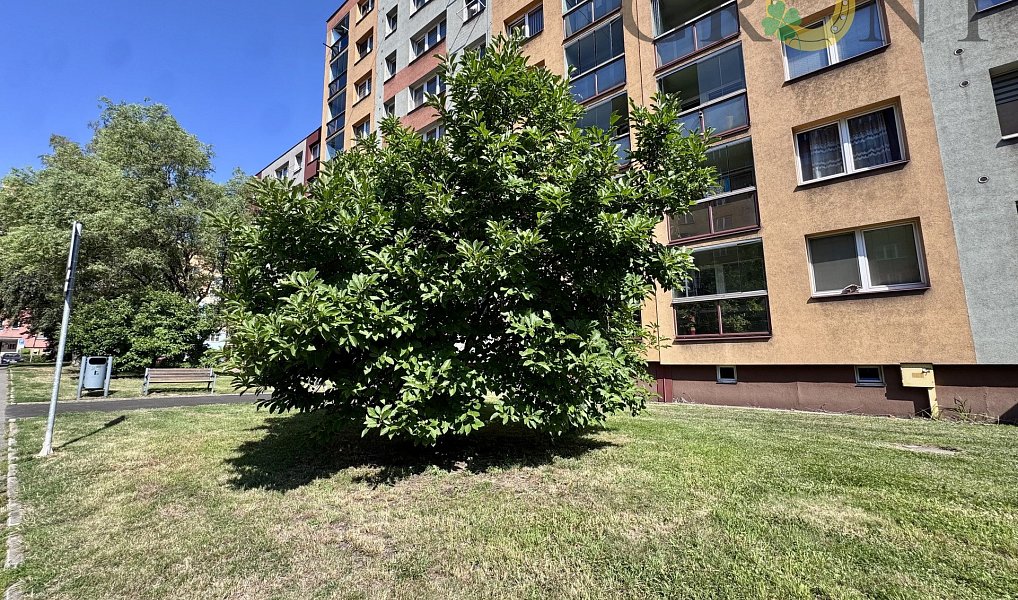 Prodej bytu 2+1 44 m², Český Těšín – náhled fotky 21