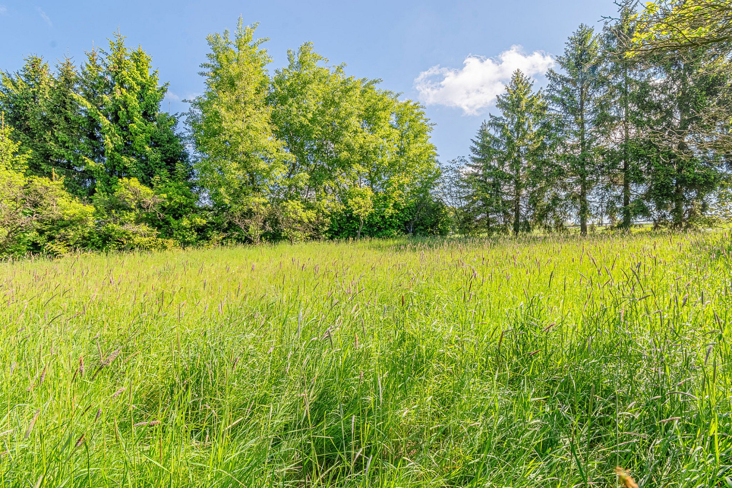 Prodej stavebního pozemku 1 148 m²