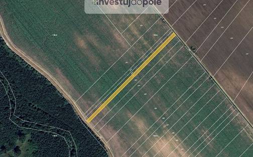 Prodej pole 1 444 m², Kostice, okres Břeclav
