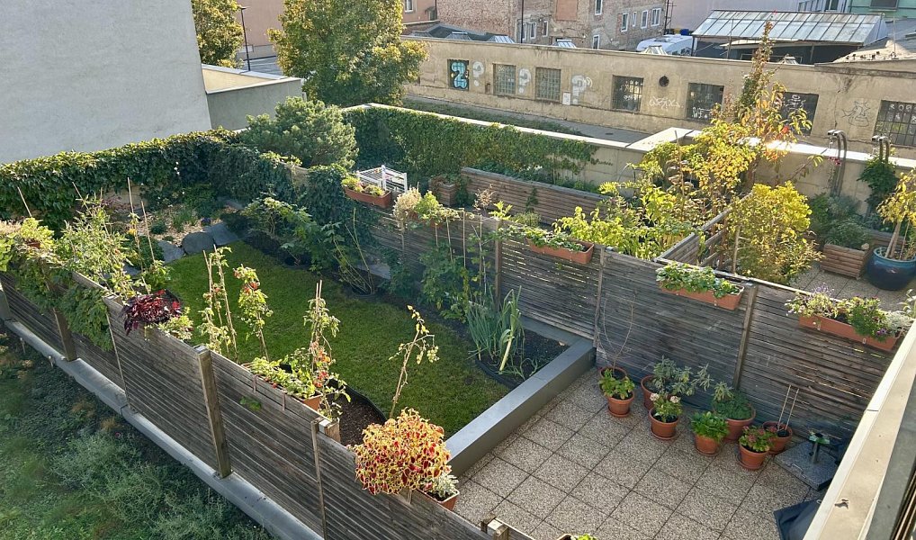 Pronájem bytu 1+kk 35 m², Olomouc – náhled fotky 7