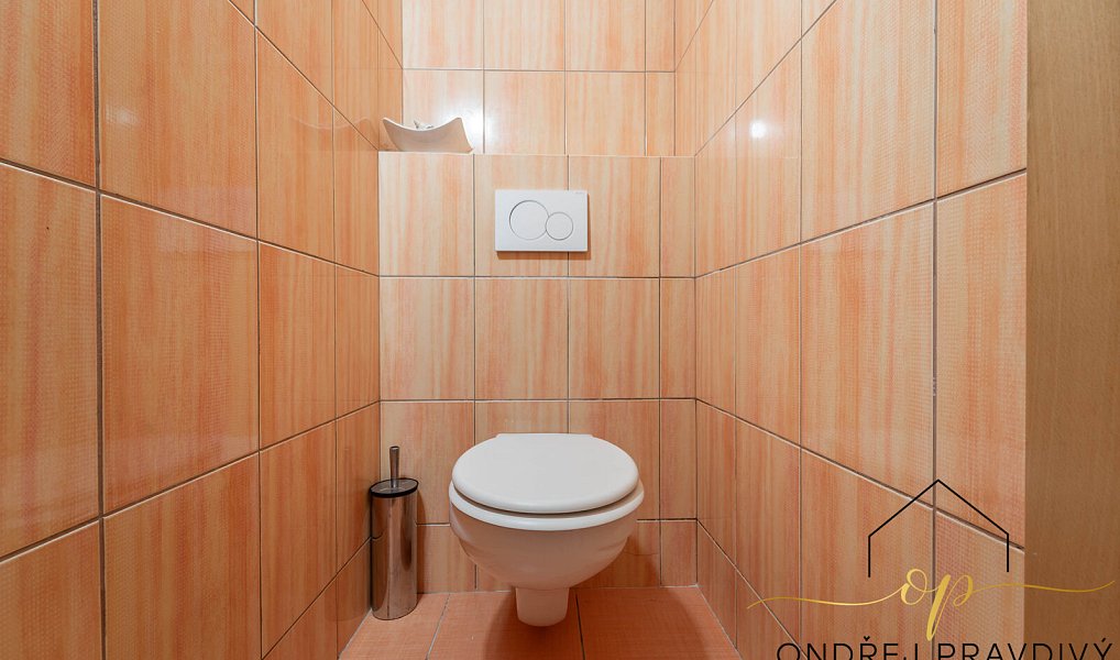 Prodej domu 265 m² s pozemkem 428 m², Lety – náhled fotky 20