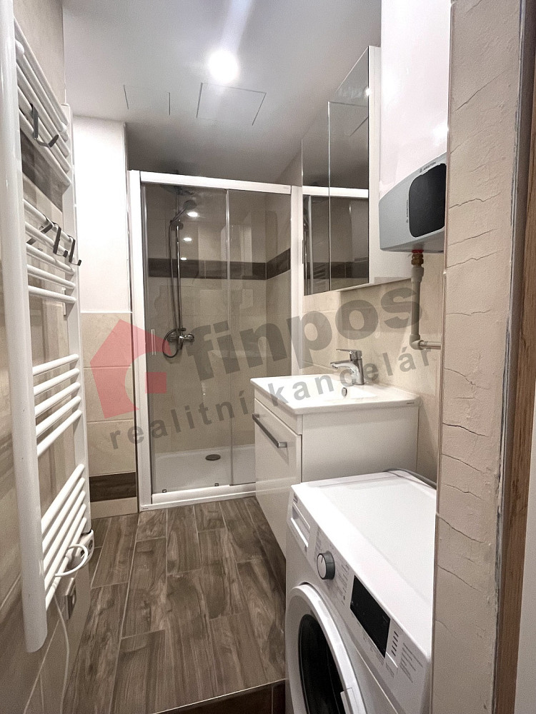 Pronájem bytu 1+1 25 m² – další