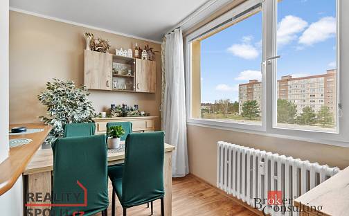 Prodej bytu 3+1 82 m², Na Radouči, Mladá Boleslav - Mladá Boleslav II