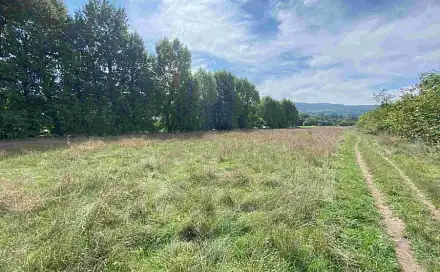 Dražba louky 601 m², Všenory
