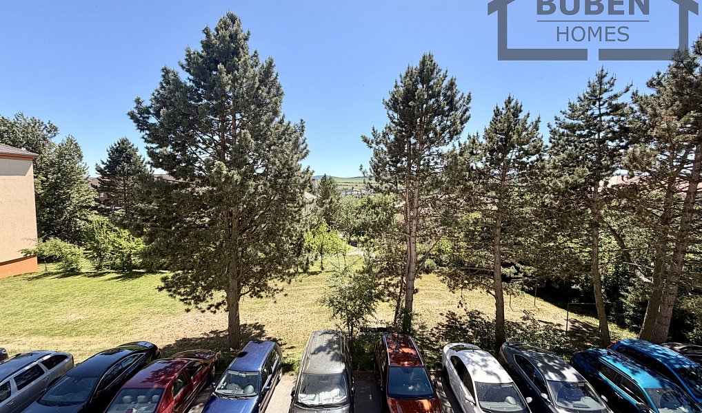 Prodej bytu 3+1 60 m², Tachov – náhled fotky 26