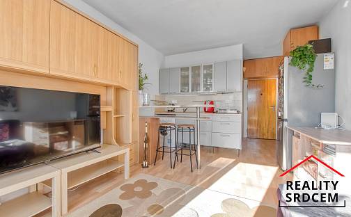 Pronájem bytu 1+kk 21 m², Ostravská, Frýdek-Místek - Místek