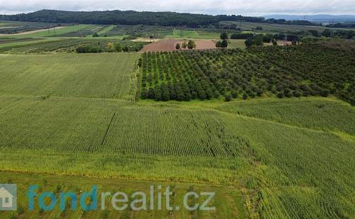 Prodej pole 4 926 m², Malovice - Krtely, okres Prachatice
