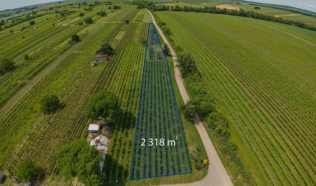 Prodej pozemku 2 318 m², Prušánky – fotka 1 z 6