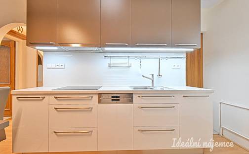 Pronájem bytu 1+1 38 m², Škroupova, Brno - Židenice