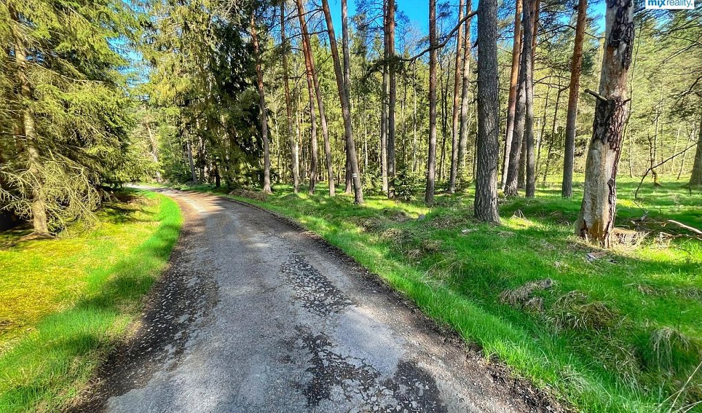 Prodej vodní plochy 16 545 m², Trstěnice – náhled fotky 16