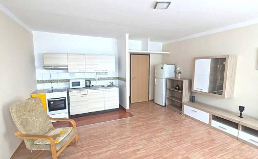 Pronájem bytu 1+kk 32 m², Obvodová, Ústí nad Labem - Krásné Březno