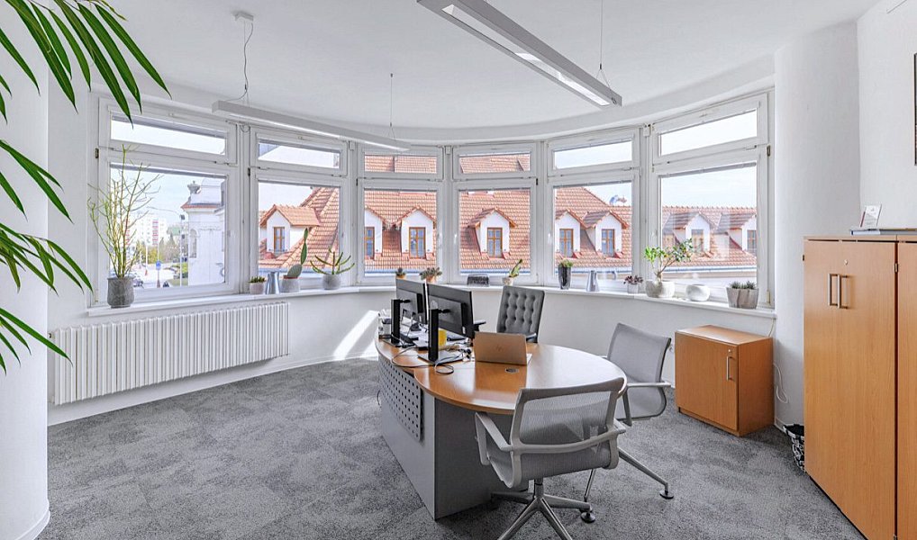Pronájem obchodních prostor 317 m², Mladá Boleslav – náhled fotky 3