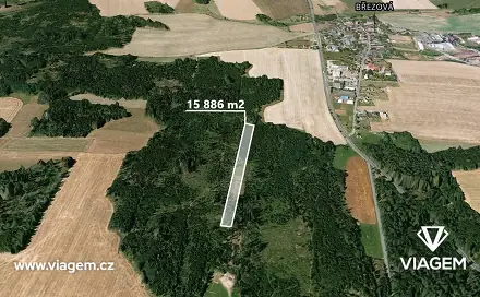 Prodej lesa 15 886 m², Březová, okres Opava