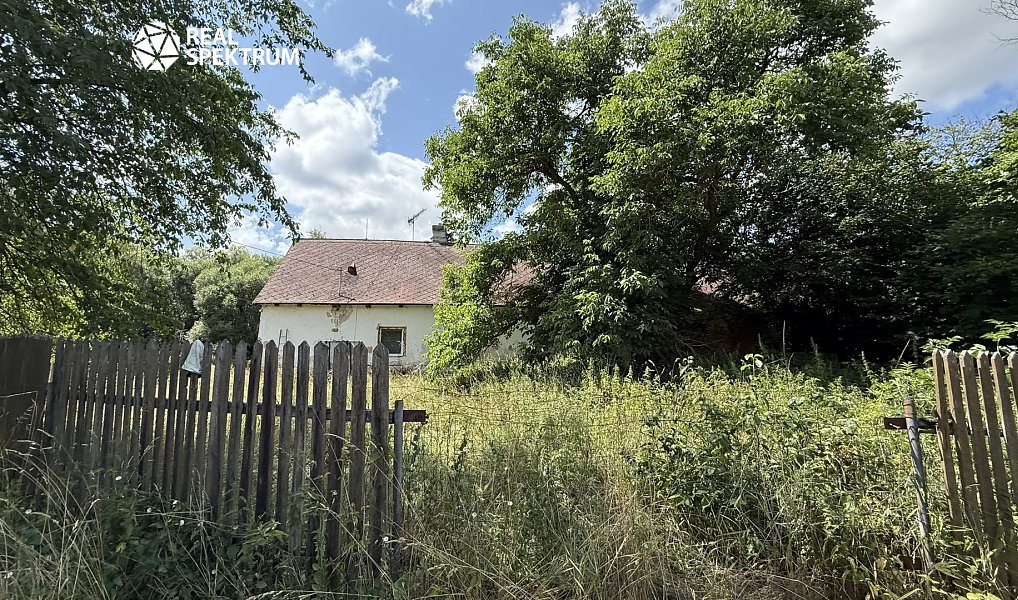 Prodej domu 250 m² s pozemkem 2 793 m², Osová Bítýška – náhled fotky 7
